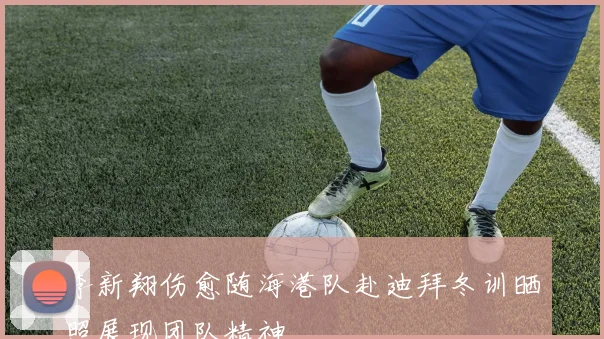 李新翔伤愈随海港队赴迪拜冬训晒照展现团队精神